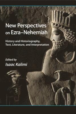 bokomslag New Perspectives on Ezra-Nehemiah