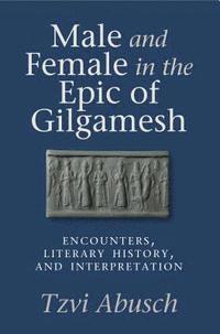 bokomslag Male and Female in the Epic of Gilgamesh