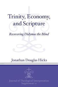 bokomslag Trinity, Economy, and Scripture