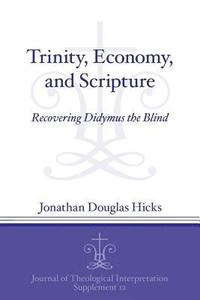 bokomslag Trinity, Economy, and Scripture