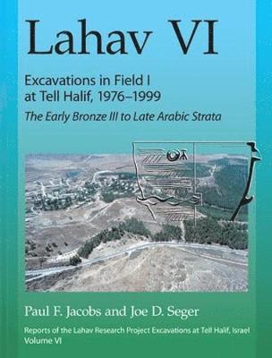 bokomslag Lahav VI: Excavations in Field I at Tell Halif, 1976-1999