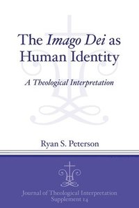 bokomslag The Imago Dei as Human Identity