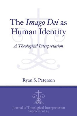 bokomslag The Imago Dei as Human Identity