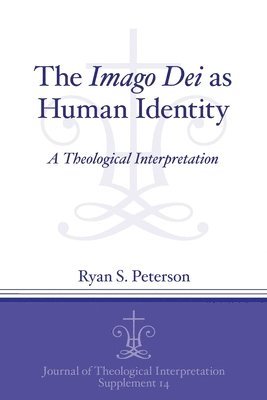 Imago Dei as Human Identity