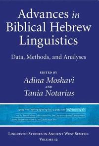 bokomslag Advances in Biblical Hebrew Linguistics