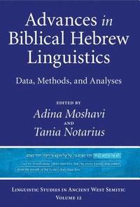 bokomslag Advances in Biblical Hebrew Linguistics