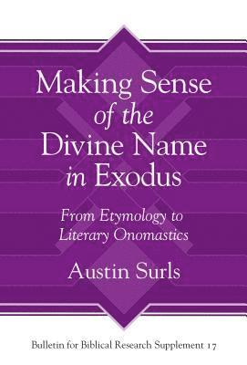 bokomslag Making Sense of the Divine Name in the Book of Exodus