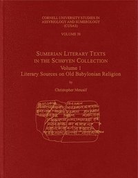 bokomslag Sumerian Literary Texts in the Schyen Collection