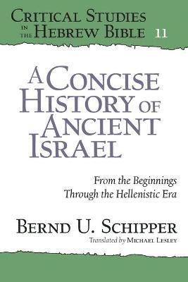bokomslag A Concise History of Ancient Israel