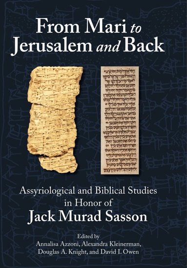 Annalisa Azzoni, Alexandra Kleinerman, Douglas A. Knight, David I. Owen - From Mari to Jerusalem and Back, Inbunden