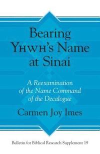 bokomslag Bearing Yhwhs Name at Sinai