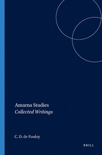 bokomslag Amarna Studies