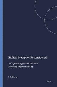 bokomslag Biblical Metaphor Reconsidered