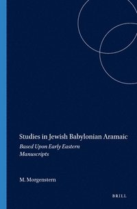 bokomslag Studies in Jewish Babylonian Aramaic