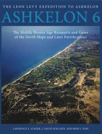 bokomslag Ashkelon 6