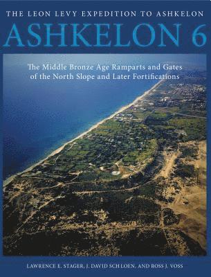 bokomslag Ashkelon 6