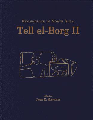 Tell el-Borg II 1
