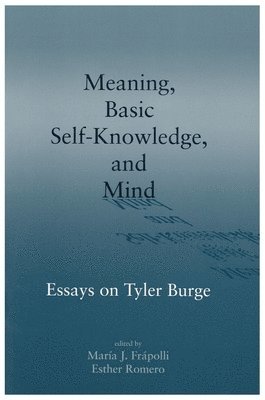 bokomslag Meaning, Basic Self-Knowledge, and Mind