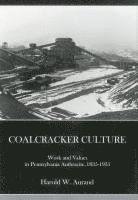 bokomslag Coal Cracker Culture