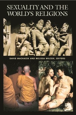 David W. Machacek, David Wayne Machacek, Melissa M. Wilcox - Sexuality and the World's Religions, Inbunden