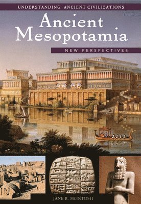 bokomslag Ancient Mesopotamia