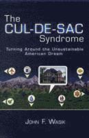 bokomslag The Cul-de-Sac Syndrome