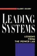 bokomslag Leading Systems