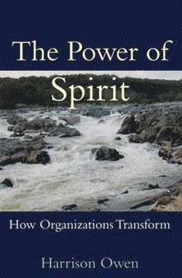 bokomslag The Power of Spirit
