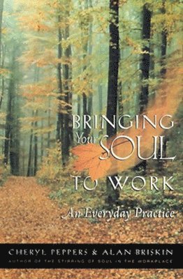 Bringing Your Soul to Work: An Everyday Practice 1