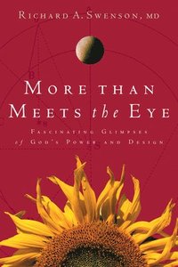 bokomslag More Than Meets the Eye
