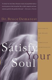 bokomslag Satisfy Your Soul