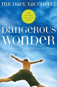 bokomslag Dangerous Wonder YS