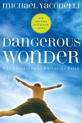 Dangerous Wonder YS 1