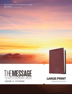 Message Bible 1