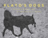 bokomslag Plato's Dogs