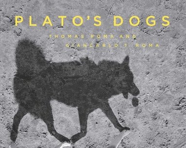 bokomslag Plato's Dogs