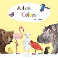 bokomslag Animal Colors and More