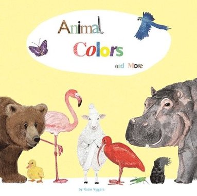 bokomslag Animal Colors and More