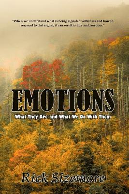 bokomslag Emotions: What Are They and What Do We Do With Them