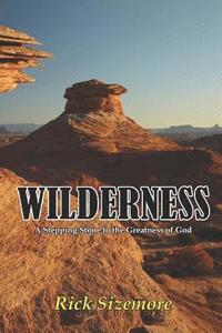 bokomslag Wilderness: A Stepping Stone to the Greatness of God