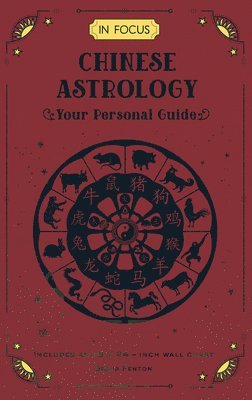 bokomslag In Focus Chinese Astrology: Volume 19