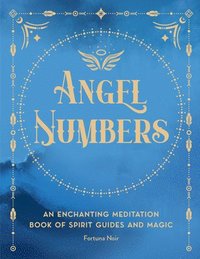 bokomslag Angel Numbers: Volume 5