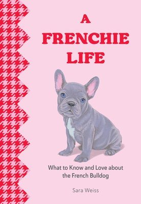 A Frenchie Life 1