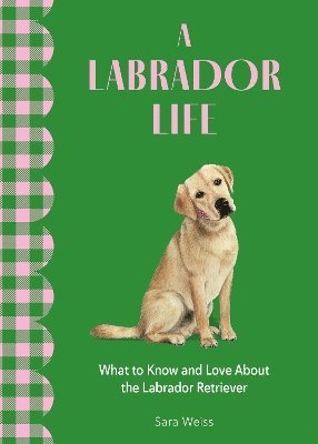 A Labrador Life 1