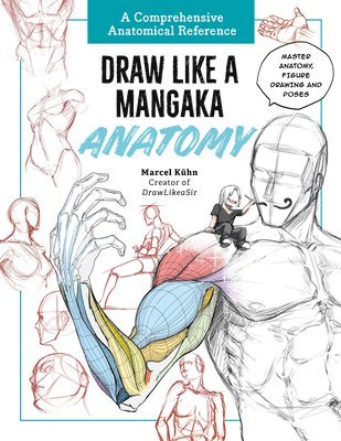 bokomslag Draw Like a Mangaka: Anatomy