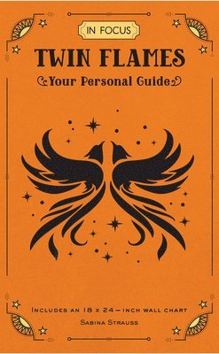 Sabina Strauss - In Focus Twin Flames, Inbunden
