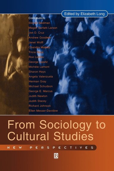 bokomslag From Sociology to Cultural Studies