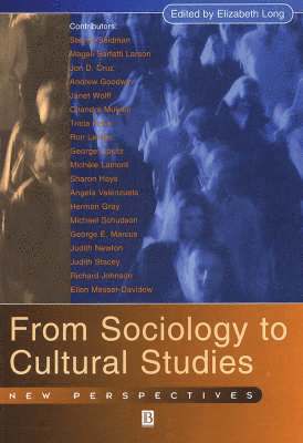 bokomslag From Sociology to Cultural Studies