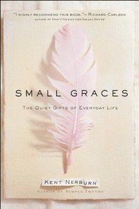 bokomslag Small Graces