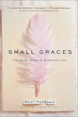 bokomslag Small Graces: A Celebration of the Ordinary: Sacred Moments That Illuminate Our Lives